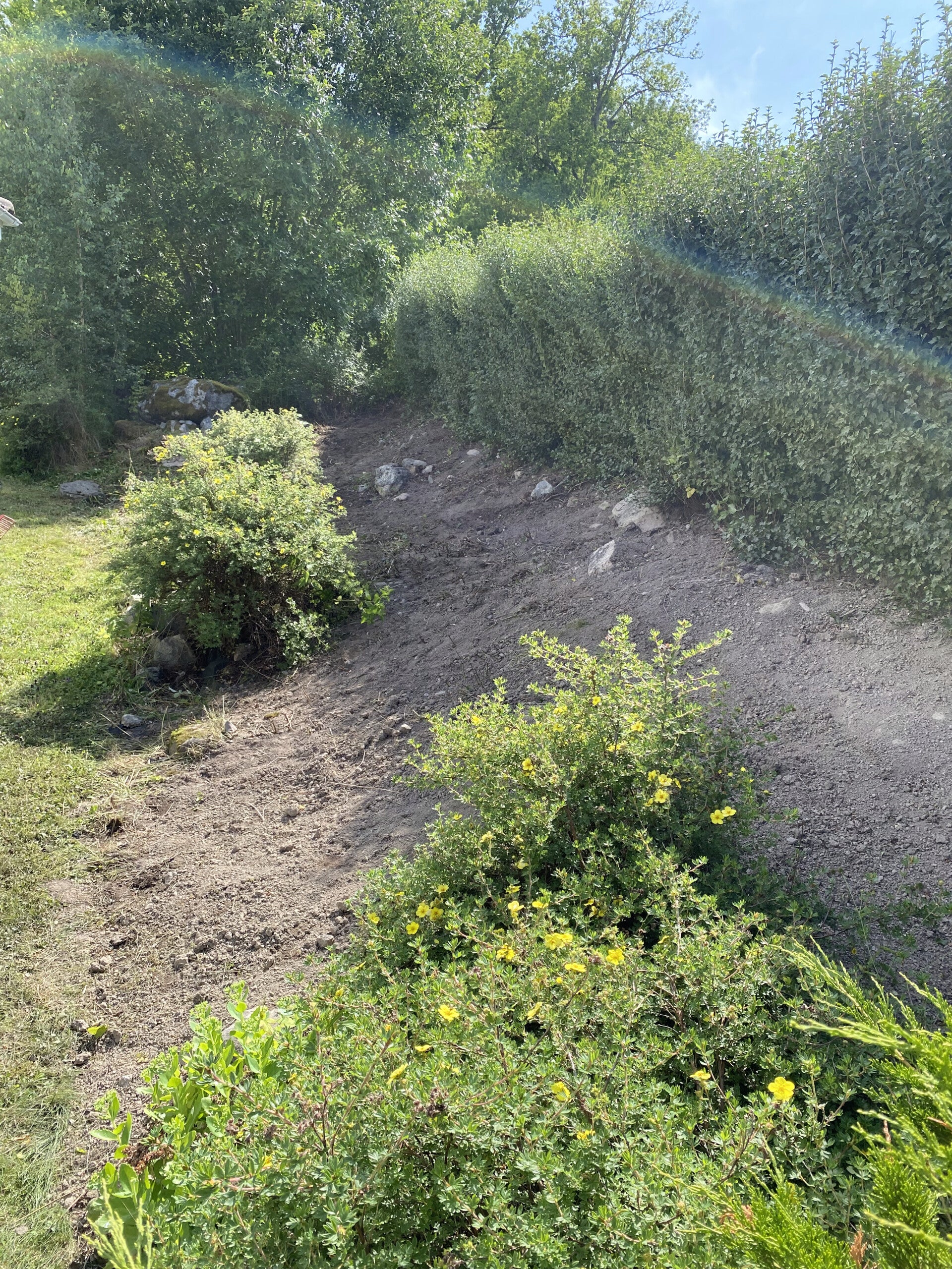 Samma rabatt med frilagd jord efter grävarbetet
